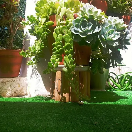 B&B Residencial Brazen